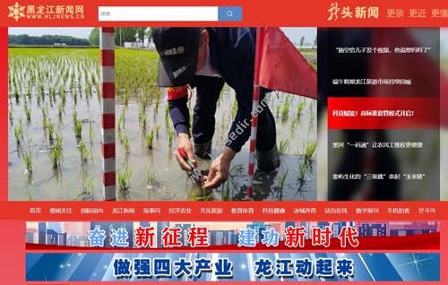 黑龙江新闻网